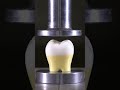 Human Tooth vs Hydraulic press🦷 #satisfying