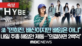 법원 “하이브, 민희진 해임안 의결권 안돼”..민희진 ‘주총 D-1’ 유리한 고지? - [속보] MBC뉴스 2024년 05월 30일