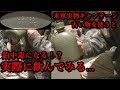 【米軍】古い軍用水筒で鉛中毒⁉【キャンテーン】