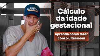 Cálculo da idade gestacional, aprenda como fazer com o ultra-som! screenshot 2