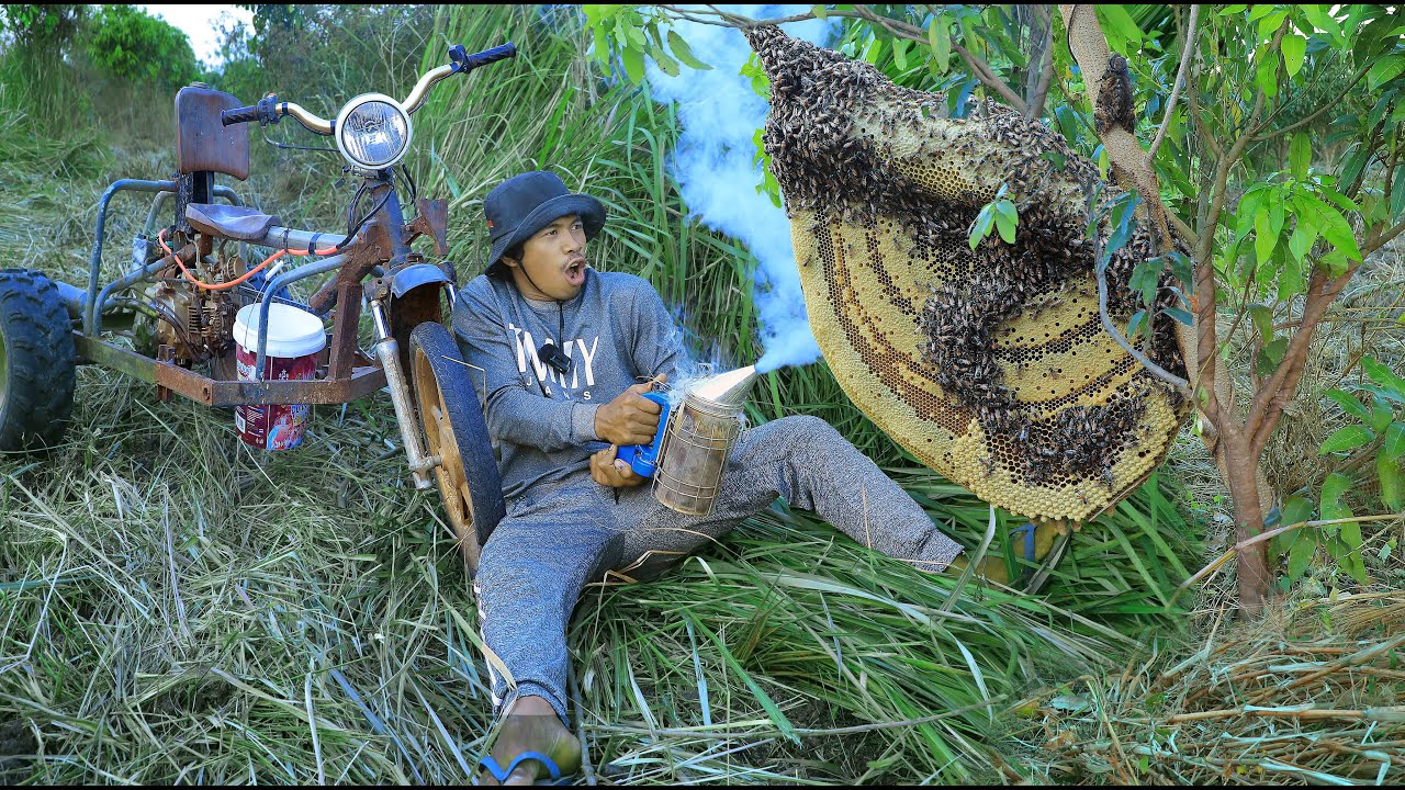 Travel by tricycle to pick up bees at Mango Farm