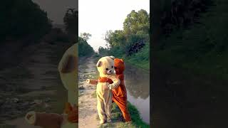Teddy Bears Waking Along The Canal Funny Video Fun With Teddy Bear