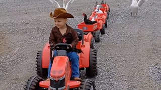 funny videos of tractor rides | Children's version of MacDonald 🤣 #funny