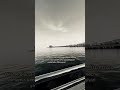 he. #viralvideo #keşfet#keşfet #keşfet#keşfet#keşfet#keşfet