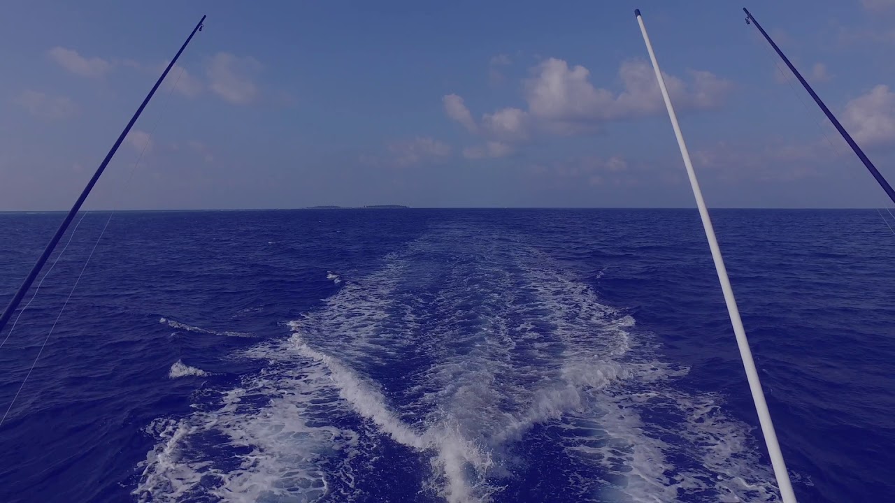 Richiedi un servizio