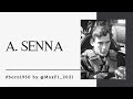 Ayrton senna i legends of racing