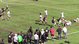 PC Mens Rugby VS Brown Net Worth