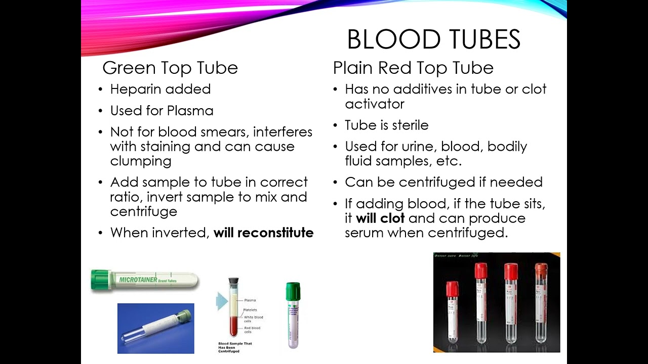 Common blood tubes used in veterinary medicine