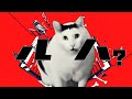 【音MAD】ルは？/猫ミーム