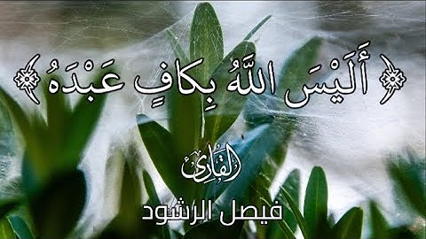 أليس الله بكاف عبده | فيصل الرشود | من سورة الزمر | تلاوة رائعة