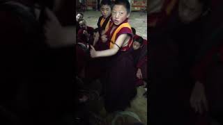 Little monks debating in Tibet Little monks debating in Tibet