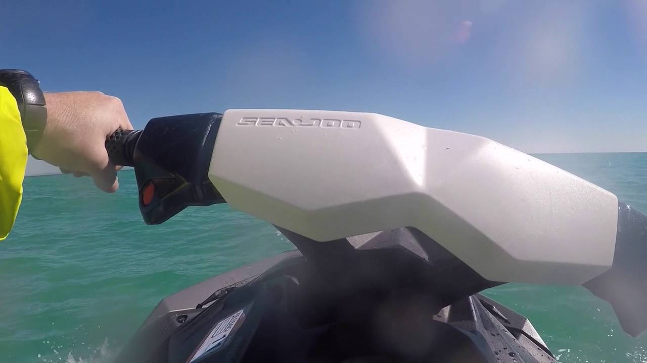 jetski dugong & turtle spotting at Moreton Island