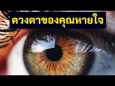 ข้อเท็จจริงสั้น ๆ 70 ข้อที่ทำให้คุณรู้สึกพิเศษ