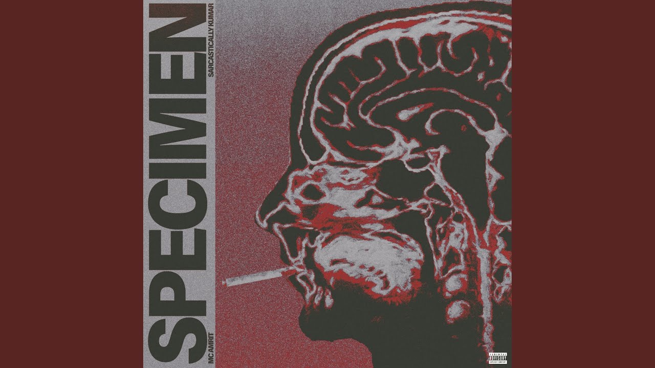YouTube에서 Specimen 보기 YouTube에서 Specimen 보기