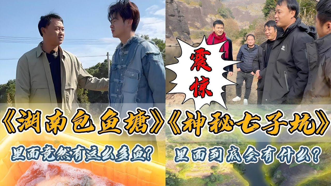 在湖南花3000元包下3年没干的老鱼塘，里面竟然有这么多鱼简直赚翻了｜花13000元包下一口神秘的七子坑，抽干水里面竟然没有鱼！鱼都去哪里了?