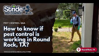 How to know if pest control is working in Round Rock, TX? - (512) 254-8185