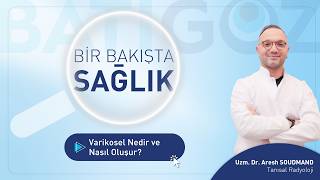 Varikosel Nedir Ve Nasıl Oluşur? Uzm. Dr. Aresh Soudmand Anlatıyor