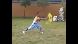 Special Shaolins Fan Form