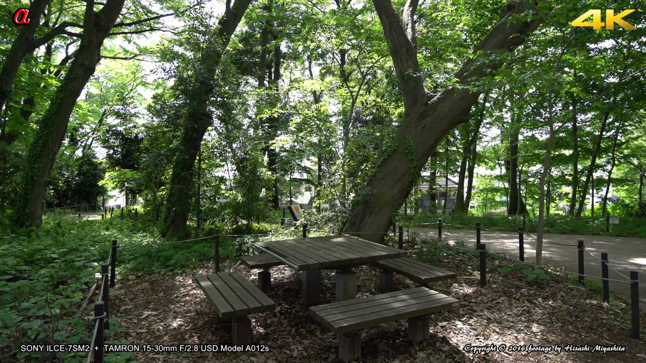 近隣散歩 杉並区立 三井の森公園 Youtube 近隣散歩 杉並区立 三井の森公園 Youtube