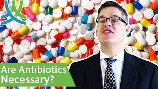 How Do Antibiotics Work? - Alternatives To Antibiotics