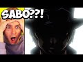 Hes alive one piece reaction