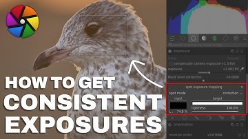 Darktable | How to get consistent exposures