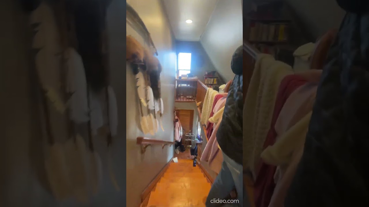 3149 Slippery Elm Walkthrough