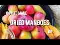 Making Dried Mangoes | How to Make Dried Mango Snacks