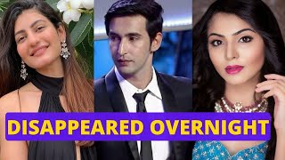 Top 5 Splitsvilla Contestants Who Disappeared From Public Eyes Overnight Ex-Splitsvillans