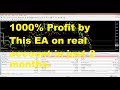 EA Robot FX in live Scalping Trade 700% every month (Real Money)