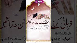 takber Allah o Akbar 😇#tictok#youtube#islamicstatus#shortvideo#quotes#freepalestine