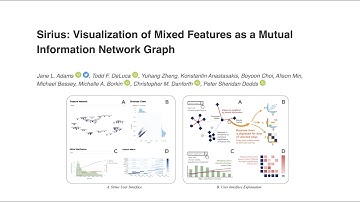 Sirius: Visualization of Mixed Features as a Mutual Information Network Graph