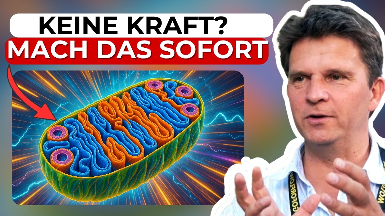 Mitochondrien-Hack: Das geheime Upgrade gegen Alter, Schmerz & Müdigkeit!
