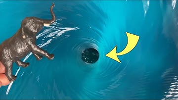 Experiment Whirlpool Hole vs Elephant, Turtle, Hippo, 😱 #Whirlpool