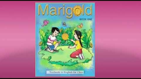 MLZS JHANSI CLASS 1 English Literature Unit 7 Poem 7 A Kite Lecture 1