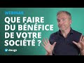 Que faire du bnfice de sa socit   conseils dexpertcomptable