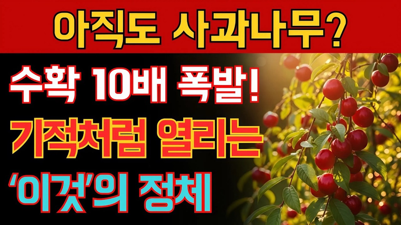 사과나무보다 10배 더? 좁은 한국 마당에서 ‘이것’ 심었더니 수확 폭발!