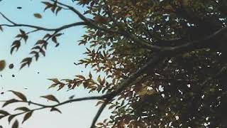 Download Lagu towa // ft. max MP3