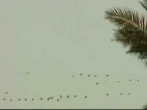 يمتى الكاك سعدي الحلي