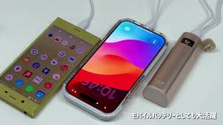 2025最新進化版 2個セット【モバイルバッテリー機能・温度/電量表示】マグネット式分離式 電気カイロ 大容量10000mAh 三段階温度調節360°急速発熱USB充電 省エネ節電  j302559