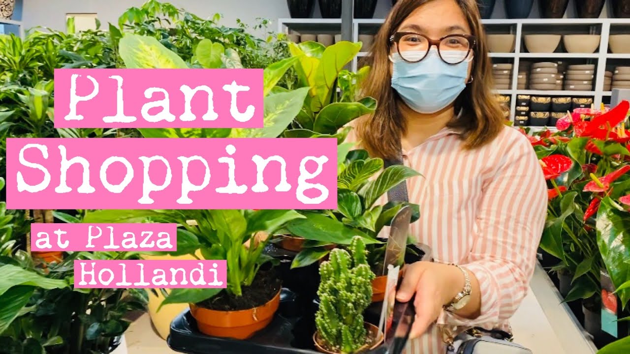 Plant Shopping in Qatar YouTube