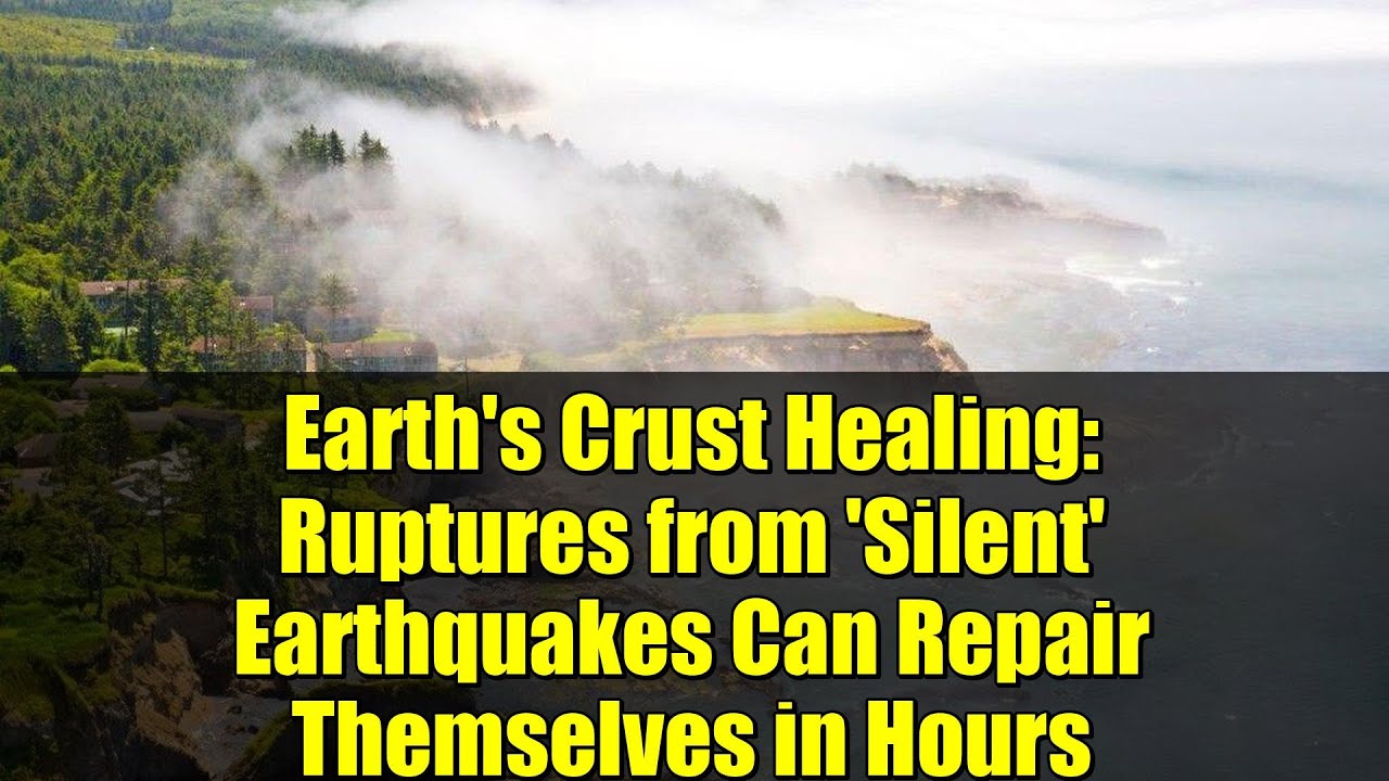 Исцеление земной коры: разрывы от «тихих» землетрясений могут заживать за считанные часы