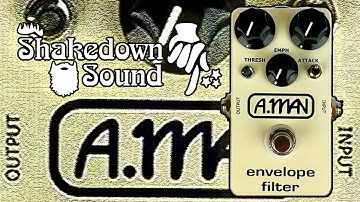 The Block Logo Envelope Filter Pedal by Analog Man - The Shakedown Sound Series