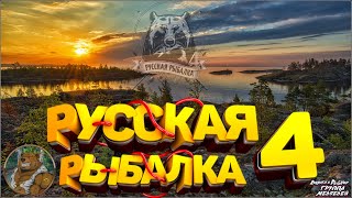 Русская Рыбалка 4 Стрим Турнира на Амура!Премы на 7 дней! рр4