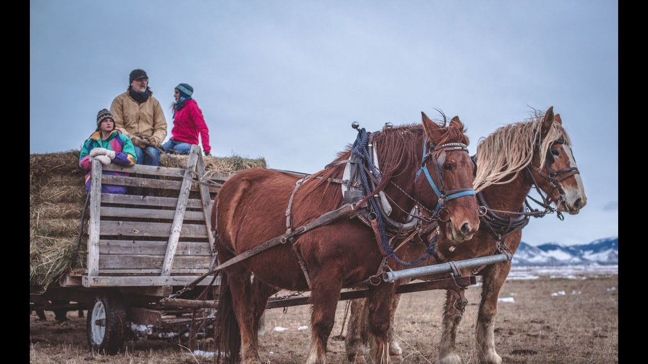 Feeding with the Team