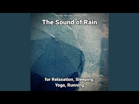 The Sound of Rain for Relaxation Pt. 26