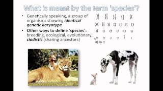 Detailed Species and Speciation (IB Biology) Information