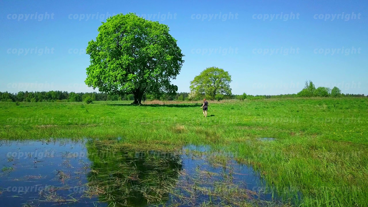 Young woman wearing dress walking at peaceful summer landscape