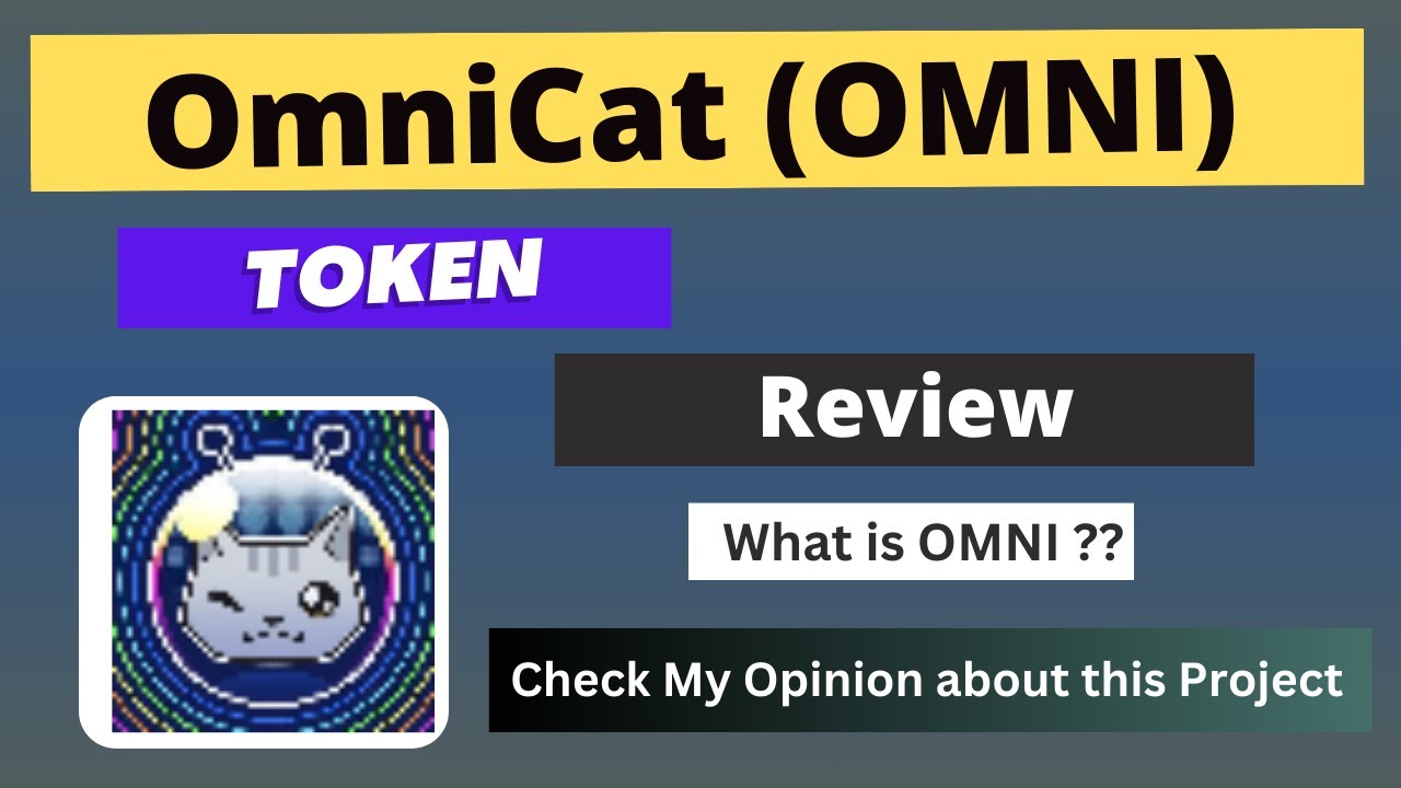 What is OmniCat (OMNI) Coin | Review About OMNI Token - YouTube