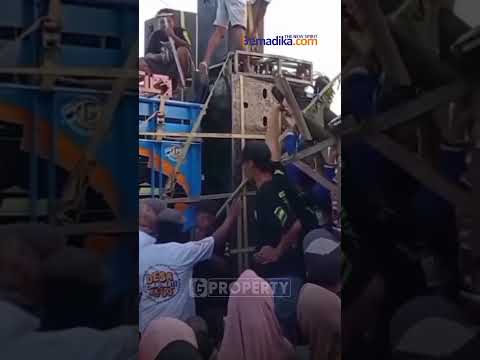 Viral! Aksi Perusakan Warung oleh Panitia Parade Sound Horeg di Jember